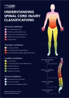 Understanding Spinal Cord Injury (SCI) Classifications - Cyclone Mobility