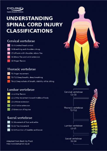 Understanding Spinal Cord Injury (SCI) Classifications - Cyclone Mobility