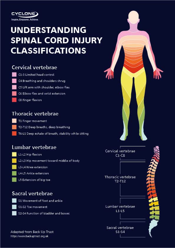 Understanding Spinal Cord Injury SCI Classifications Cyclone Mobility